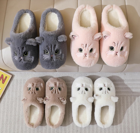 Cat Slides