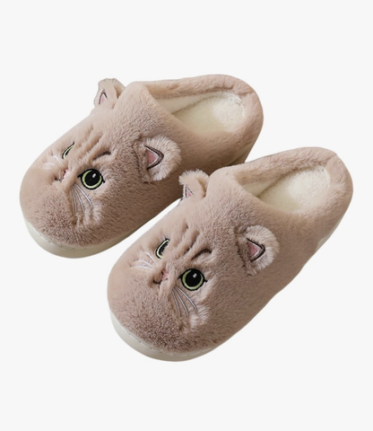Cat Slides
